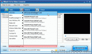 iWisoft FLV to Video Converter screenshot